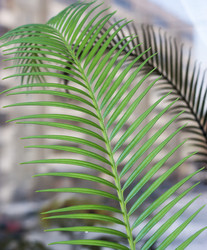 Similar image 5954967