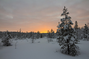 Similar image 5954982