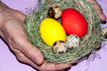 Similar image 5955031