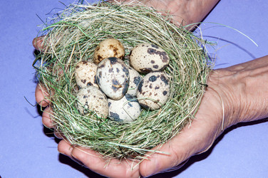 Similar image 5955034