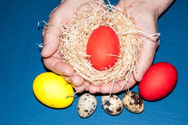 Similar image 5955039