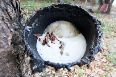 Similar image 5955064