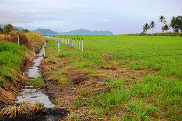 Similar image 5955071