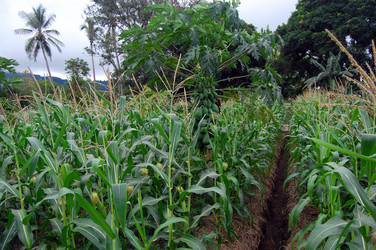 Similar image 5955072