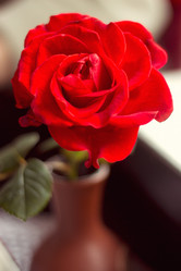 Similar image 5955171