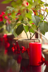 Similar image 5955172