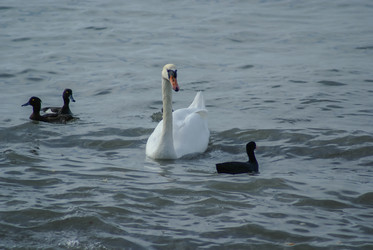 Similar image 5955192