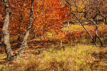 Similar image 5955201