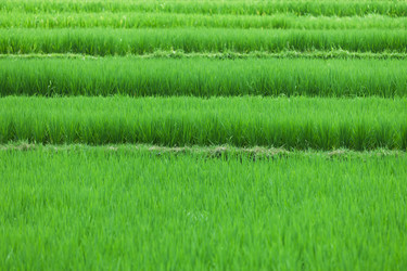 Similar image 5955208