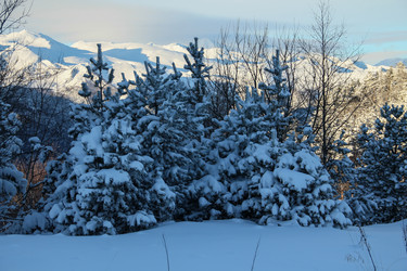 Similar image 5955219