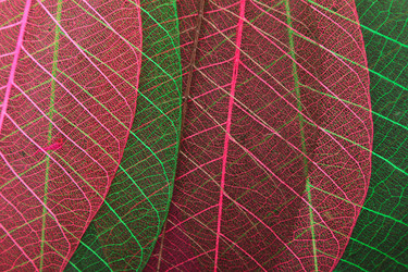 Similar image 5955223