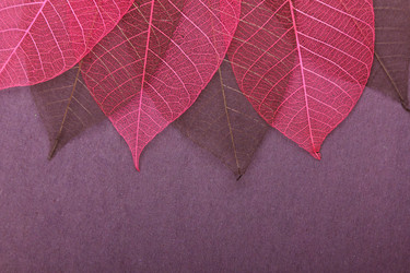 Similar image 5955225