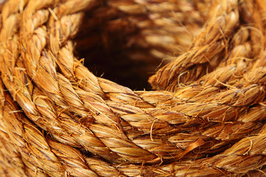 Similar image 5955233