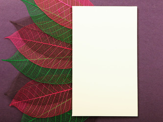 Similar image 5955297