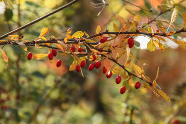 Similar image 5955301