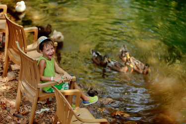 Similar image 5955306