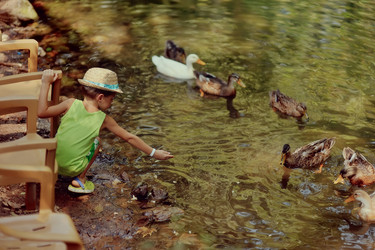 Similar image 5955307