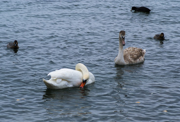 Similar image 5955601