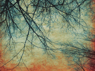 Similar image 5955630