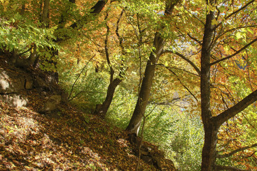 Similar image 5955692