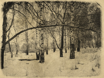 Similar image 5955691