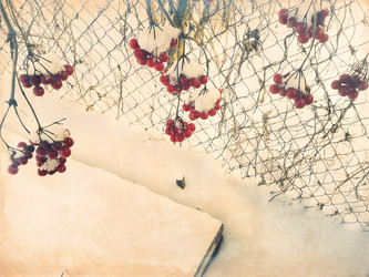 Similar image 5955698