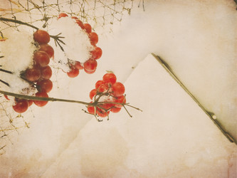 Similar image 5955738