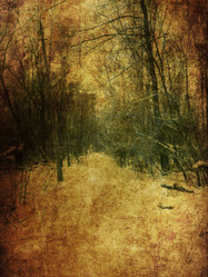 Similar image 5955753