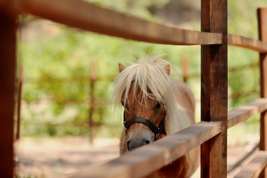 Similar image 5955797