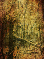 Similar image 5955823