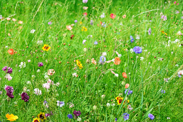 Similar image 5955963