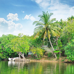 Similar image 5955965