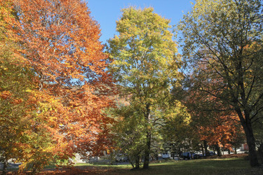 Similar image 5956649