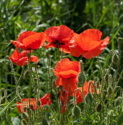 Similar image 5956834