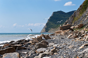 Similar image 5956835