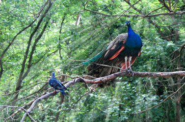 Similar image 5956836