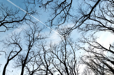 Similar image 5956838