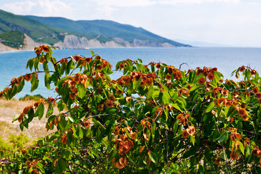 Similar image 5956839