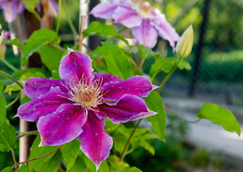 Similar image 5956840