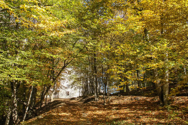 Similar image 5956846