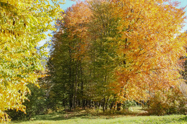 Similar image 5956847