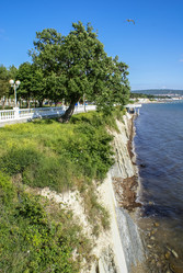 Similar image 5956848