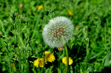 Similar image 5957089