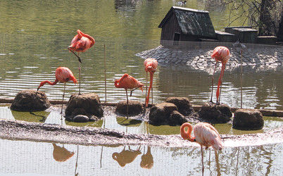 Similar image 5957101