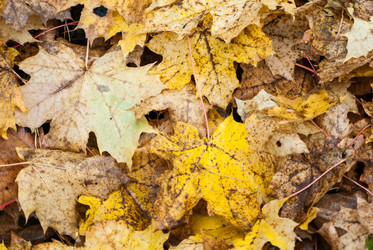 Similar image 5957112