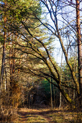 Similar image 5957115