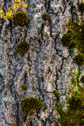 Similar image 5957116