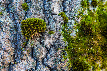 Similar image 5957117