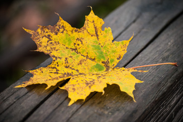 Similar image 5957163