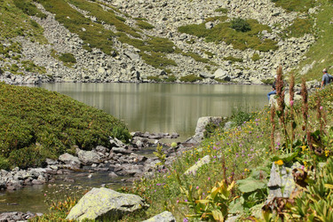 Similar image 5957223